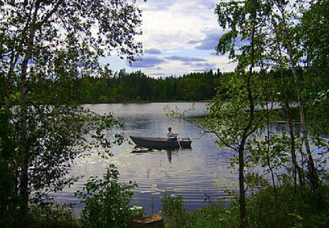 Ferienhaus in Vissefjärda - Mitten in Småland mit Seelage Ferienhaus in Vissefjärda - Mitten in Småland mit Seelage