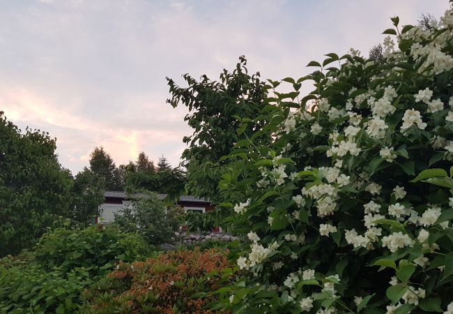 Ferienhaus in Vissefjärda - Mitten in Småland mit Seelage Ferienhaus in Vissefjärda - Mitten in Småland mit Seelage