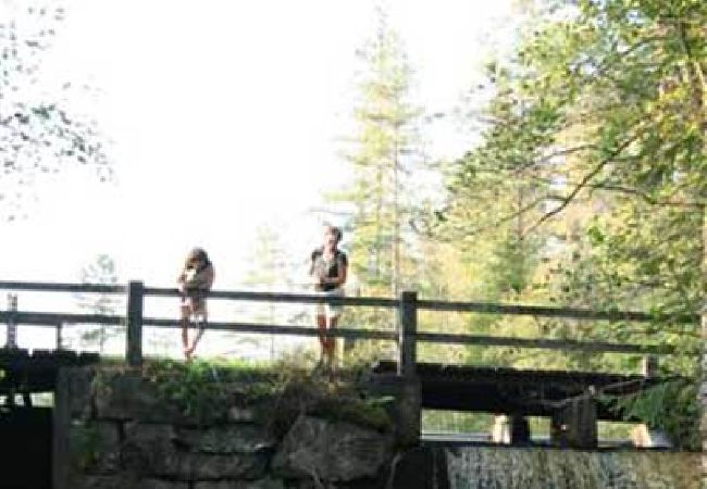 Ferienhaus in Skillingaryd - Ferienhaus am Wasser mit Angelmöglichkeiten Ferienhaus in Skillingaryd - Ferienhaus am Wasser mit Angelmöglichkeiten