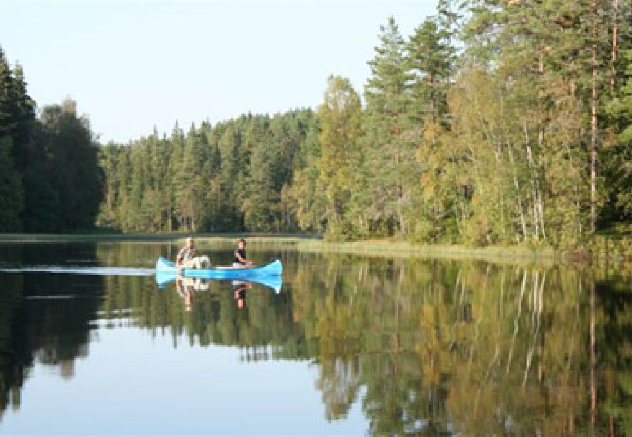 Ferienhaus in Skillingaryd - Ferienhaus am Wasser mit Boot und Angelmöglichkeiten