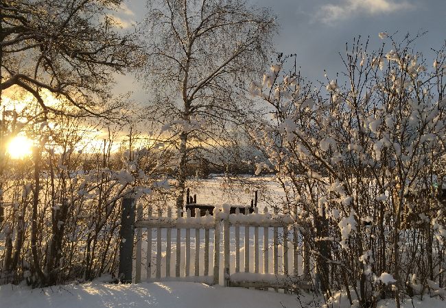 Ferienhaus in Söderbärke - Grosses Ferienhaus direkt am See in Traumlage