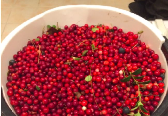 Ferienhaus in Söderbärke - Grosses Ferienhaus direkt am See in Traumlage Ferienhaus in Söderbärke - Grosses Ferienhaus direkt am See in Traumlage