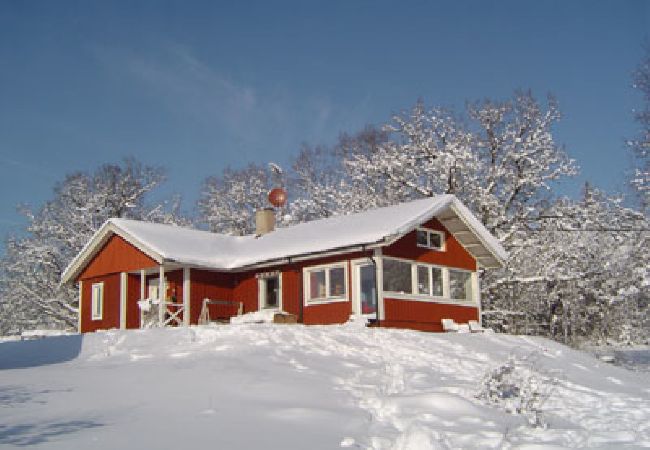 Ferienhaus in Hultsfred - Urlaub am See in Småland