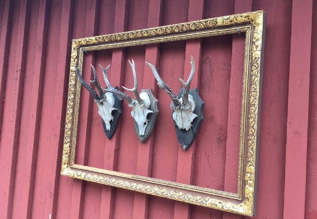 Ferienhaus in Lammhult - Ferienhaus mit Internet und Sauna und Boot am See Stråken in Småland Ferienhaus in Lammhult - Ferienhaus mit Internet und Sauna und Boot am See Stråken in Småland