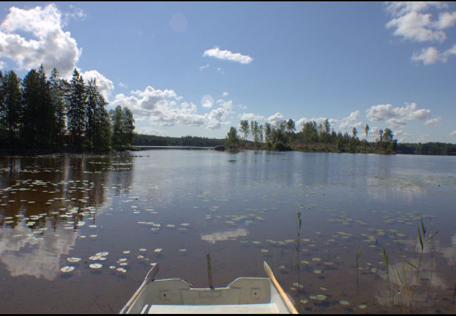 Ferienhaus in Lammhult - Ferienhaus mit Internet, Sauna und Motorboot am See Stråken in Småland