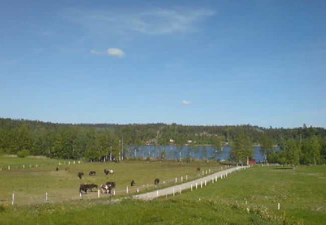 Ferienhaus in Mölnbo - Schönes Ferienhaus mit Seeblick auf einem Pferdehof vor den Toren von Stockholm  Ferienhaus in Mölnbo - Schönes Ferienhaus mit Seeblick auf einem Pferdehof vor den Toren von Stockholm