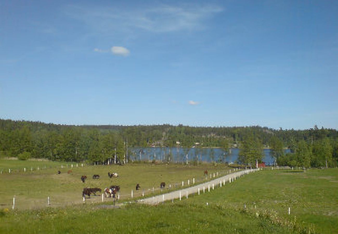 Ferienhaus in Mölnbo - Pferdehof mit Seeblick