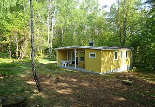 Ferienhaus in Höör - Ferienhaus in Alleinlage mitten im Wald