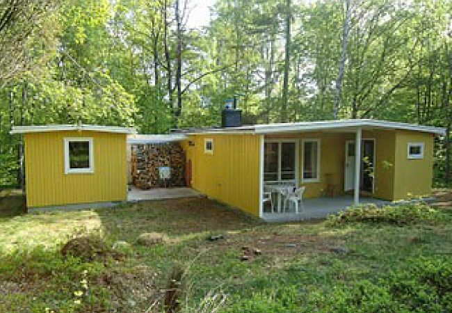 Ferienhaus in Höör - Ferienhaus in Alleinlage mitten im Wald Ferienhaus in Höör - Ferienhaus in Alleinlage mitten im Wald