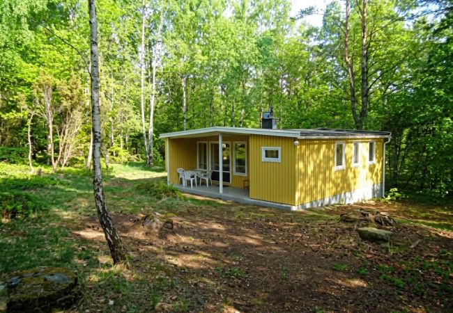 Ferienhaus in Höör - Ferienhaus in Alleinlage mitten im Wald