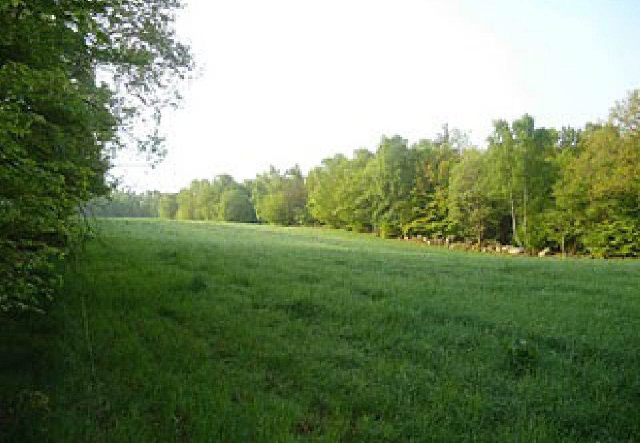 Ferienhaus in Höör - Ferienhaus in Alleinlage mitten im Wald
