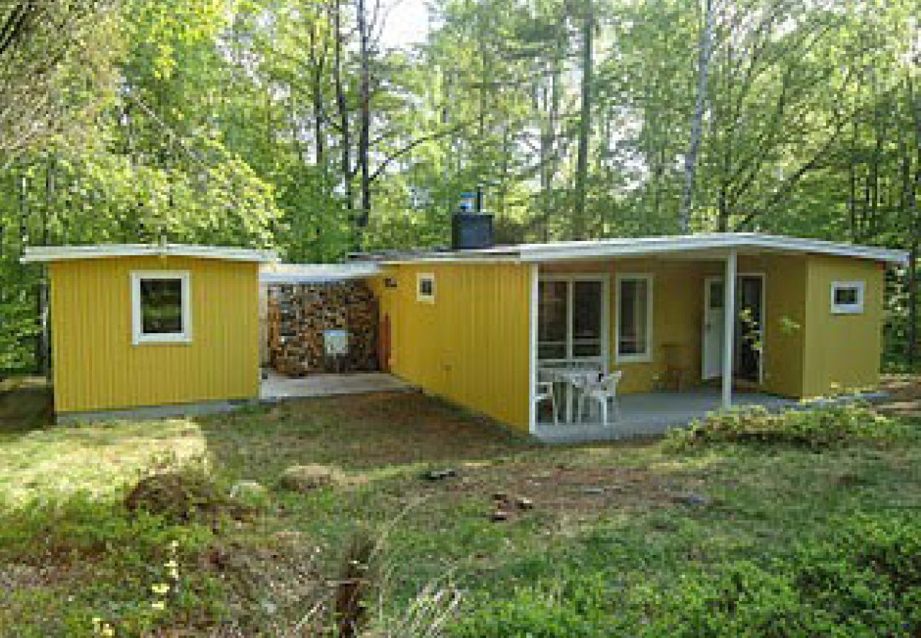 Ferienhaus in Höör - Ferienhaus in Alleinlage mitten im Wald