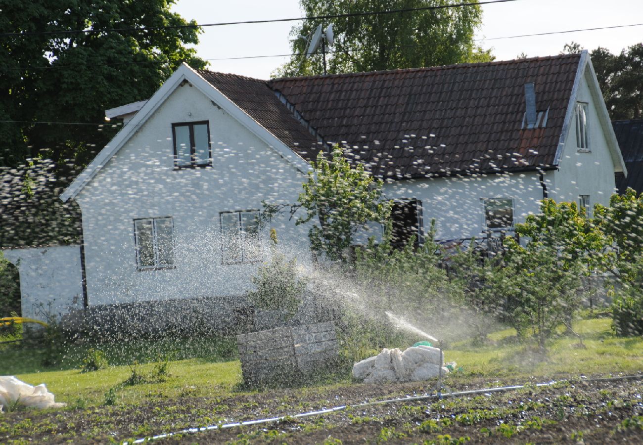 Ferienhaus in Visby - Stenhuset Gotland