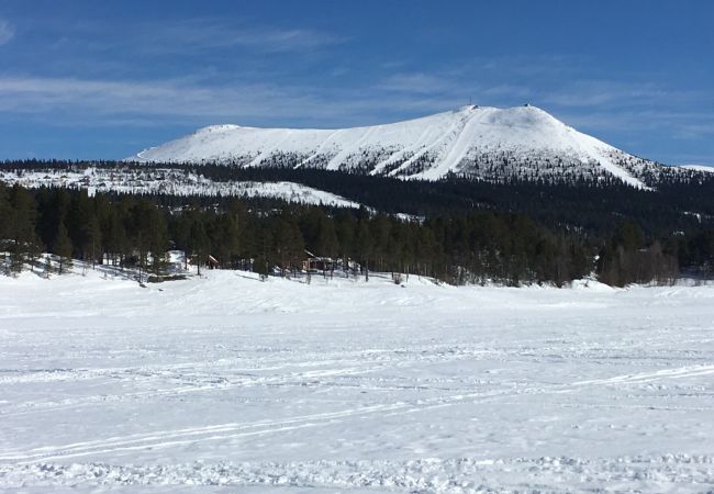 Ferienhaus in Lofsdalen - Charmantes Ferienhaus in Lofsdalen am See Lofssjön