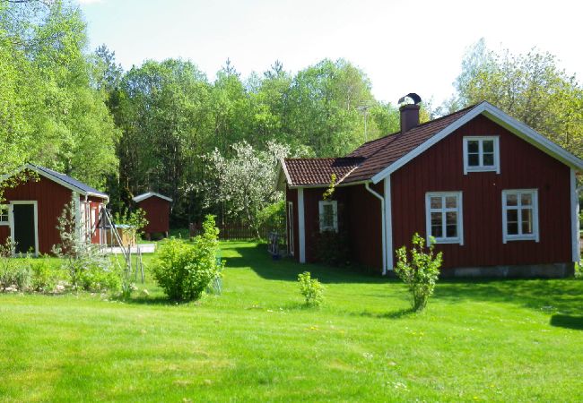 Ferienhaus in Tranemo - Ferienhaus am See und 15 Minuten vom Skigebiet Isaberg