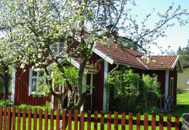 Ferienhaus in Tranemo - Ferienhaus am See und 15 Minuten vom Skigebiet Isaberg