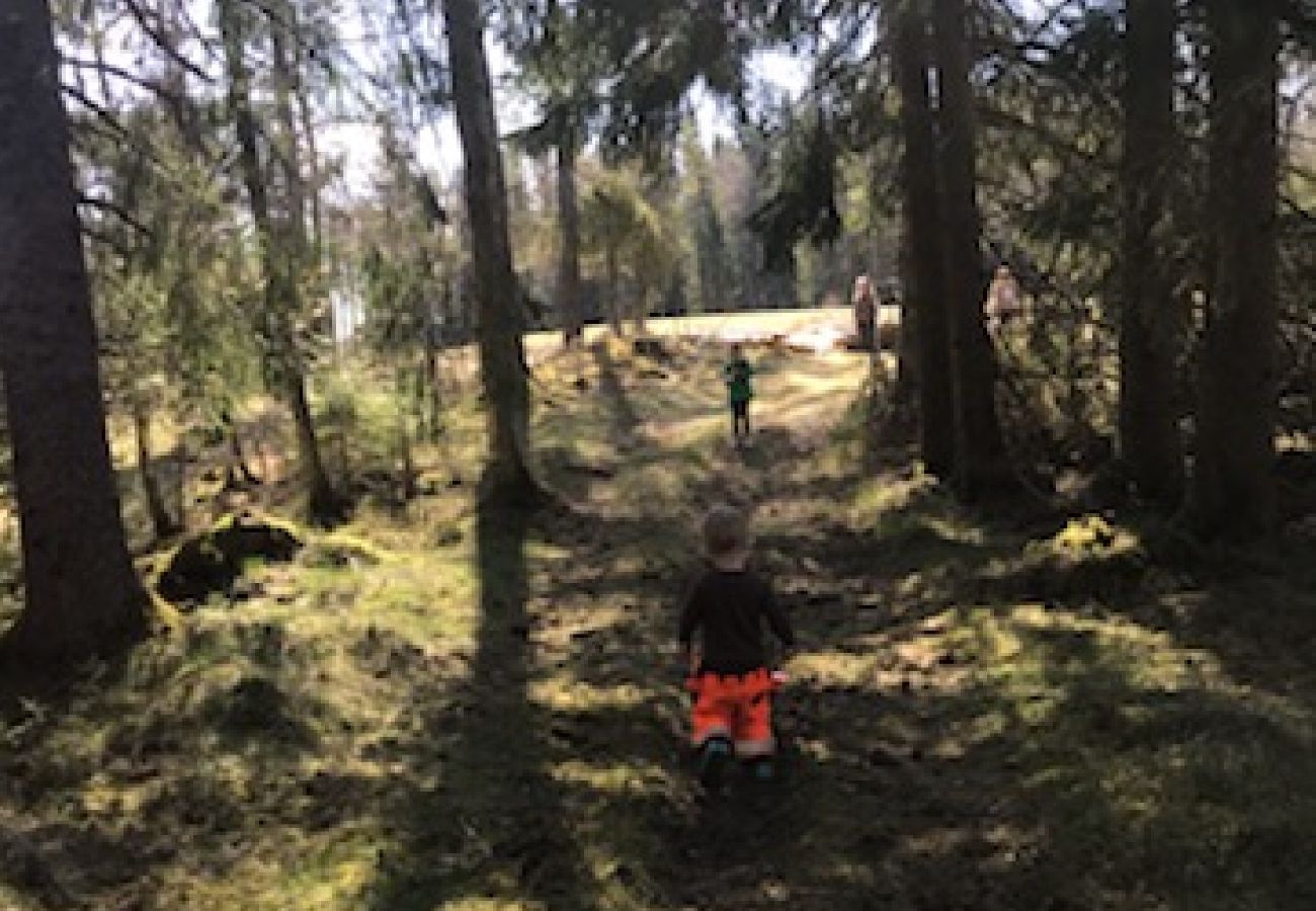 Ferienhaus in Tranemo - Ferienhaus am See und 15 Minuten vom Skigebiet Isaberg