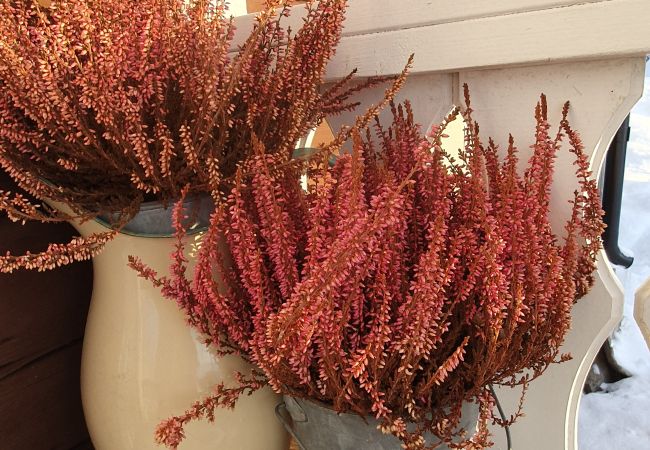 Ferienhaus in Skinnskatteberg - Ferienhaus direkt am See in Bergslagen mit Sauna und Boot Ferienhaus in Skinnskatteberg - Ferienhaus direkt am See in Bergslagen mit Sauna und Boot