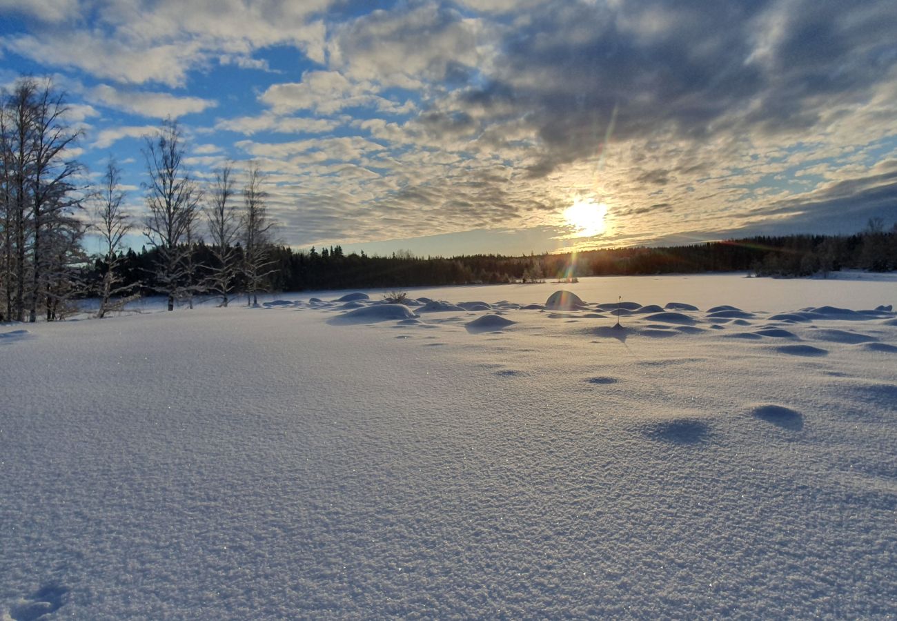 Ferienhaus in Skinnskatteberg - Ferienhaus direkt am See in Bergslagen mit Sauna und Boot