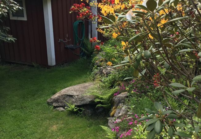 Ferienhaus in Klövedal - Gemütliches Ferienhäuschen an der Westküste Ferienhaus in Klövedal - Gemütliches Ferienhäuschen an der Westküste