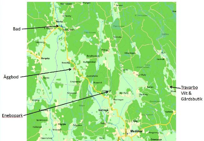 Ferienhaus in Arboga - Enebopark Ferienhaus in Arboga - Enebopark