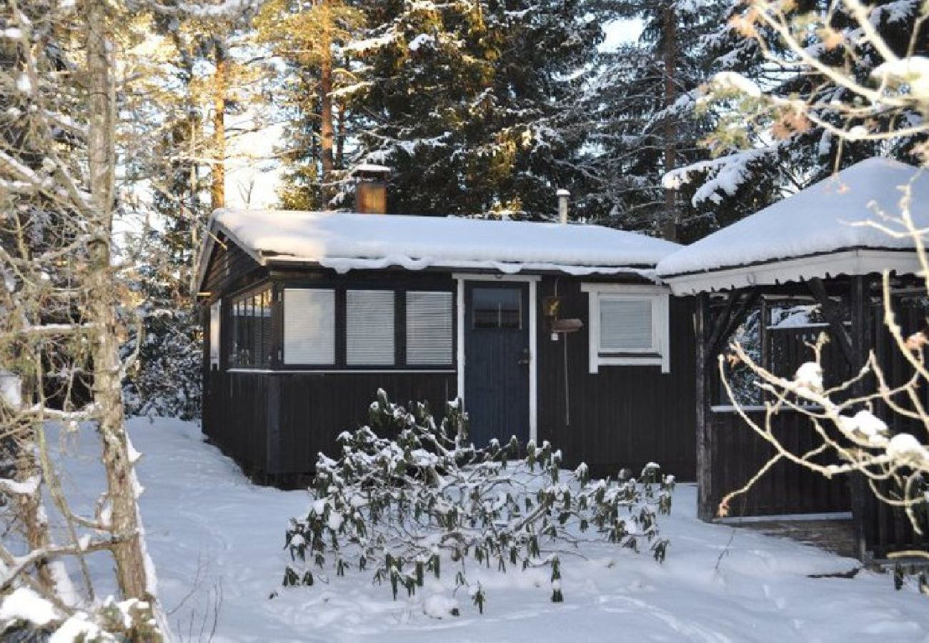 Ferienhaus in Arboga - Enebopark