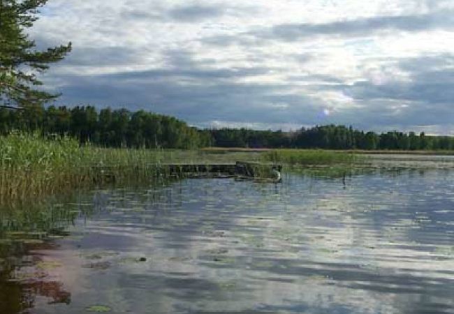 Ferienhaus in Edsbro - Urlaub in Uppland zwischen Badeseen und Ostseeküste Ferienhaus in Edsbro - Urlaub in Uppland zwischen Badeseen und Ostseeküste
