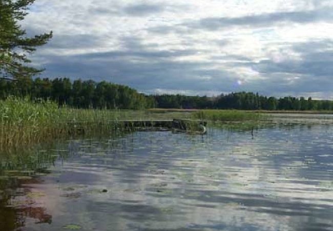 Ferienhaus in Edsbro - Urlaub in Uppland zwischen Badeseen und Ostseeküste