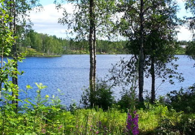 Ferienhaus in Abborrträsk - Sjöstuga Abborrträsk