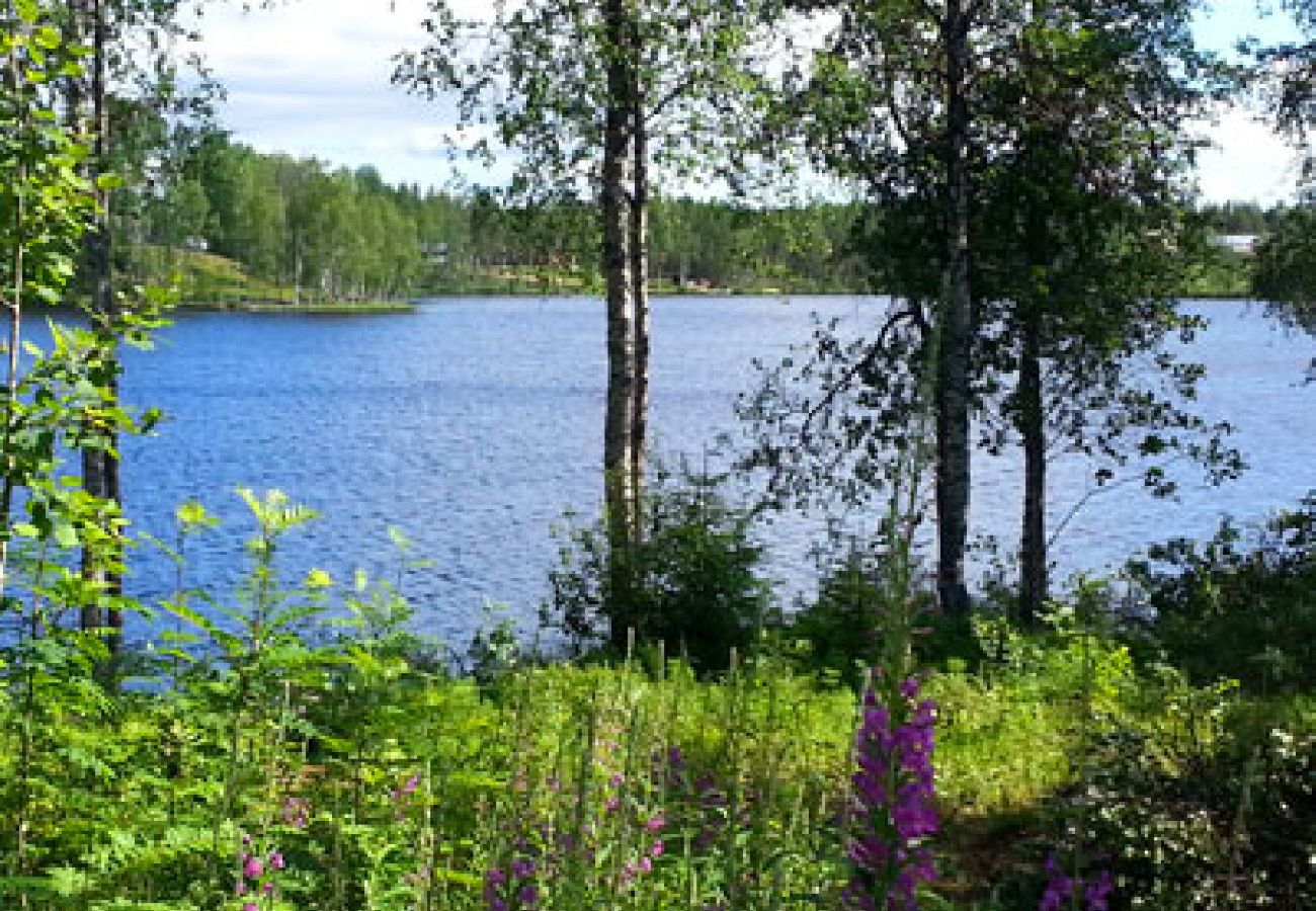 Ferienhaus in Abborrträsk - Komfortables Ferienhaus direkt am See, Angeln, Jagd, Schneemobile fahren direkt ab Haus