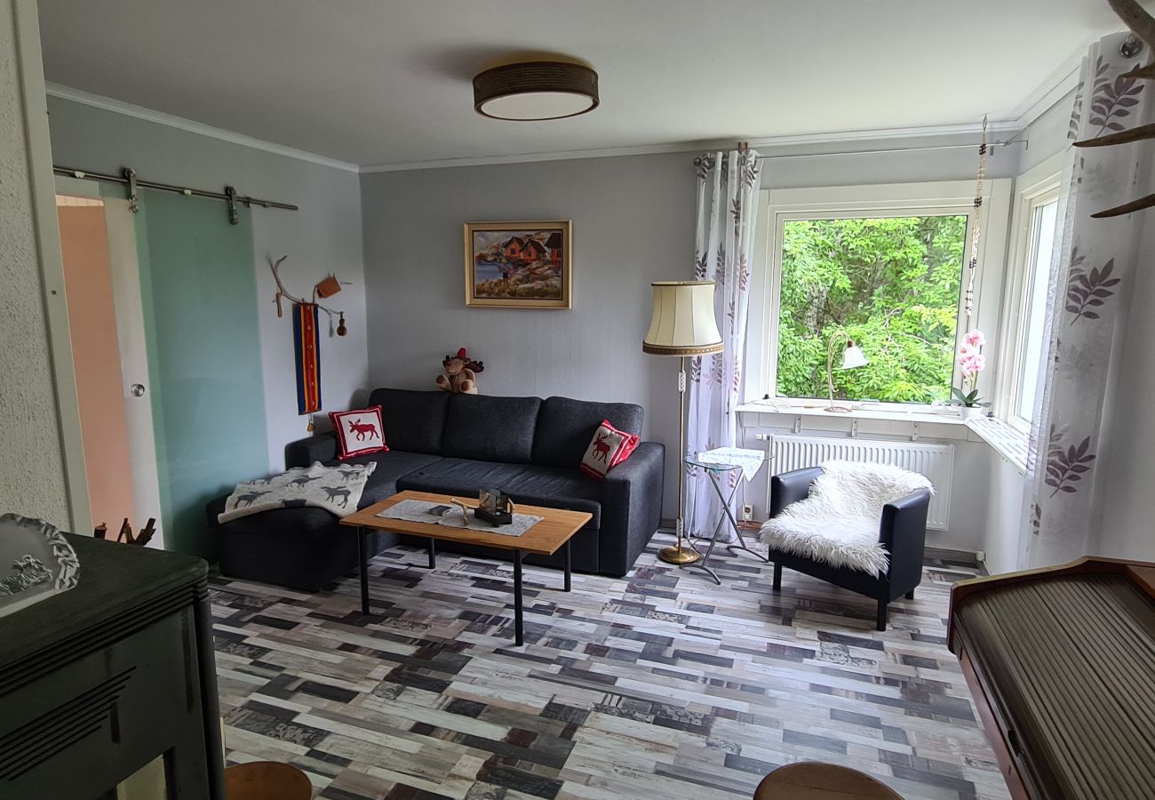 Ferienhaus in Abborrträsk - Komfortables Ferienhaus direkt am See, Angeln, Jagd, Schneemobile fahren direkt ab Haus