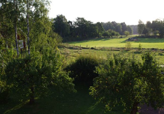 Ferienhaus in Malmköping - Gemütliches Ferienhaus zwischen Wiesen und Weiden im Land der Schlösser und Herrensitze Ferienhaus in Malmköping - Gemütliches Ferienhaus zwischen Wiesen und Weiden im Land der Schlösser und Herrensitze
