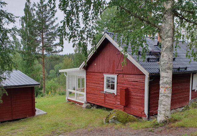 Ferienhaus in Trehörningsjö - Natururlaub direkt am See im Ångermanland Ferienhaus in Trehörningsjö - Natururlaub direkt am See im Ångermanland