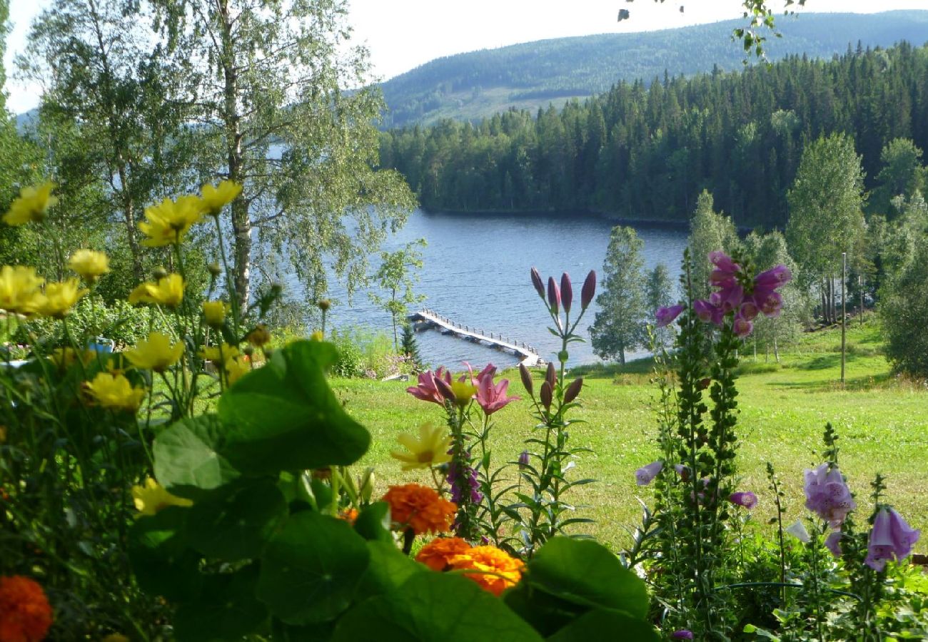 Ferienhaus in Trehörningsjö - Natururlaub direkt am See im Ångermanland