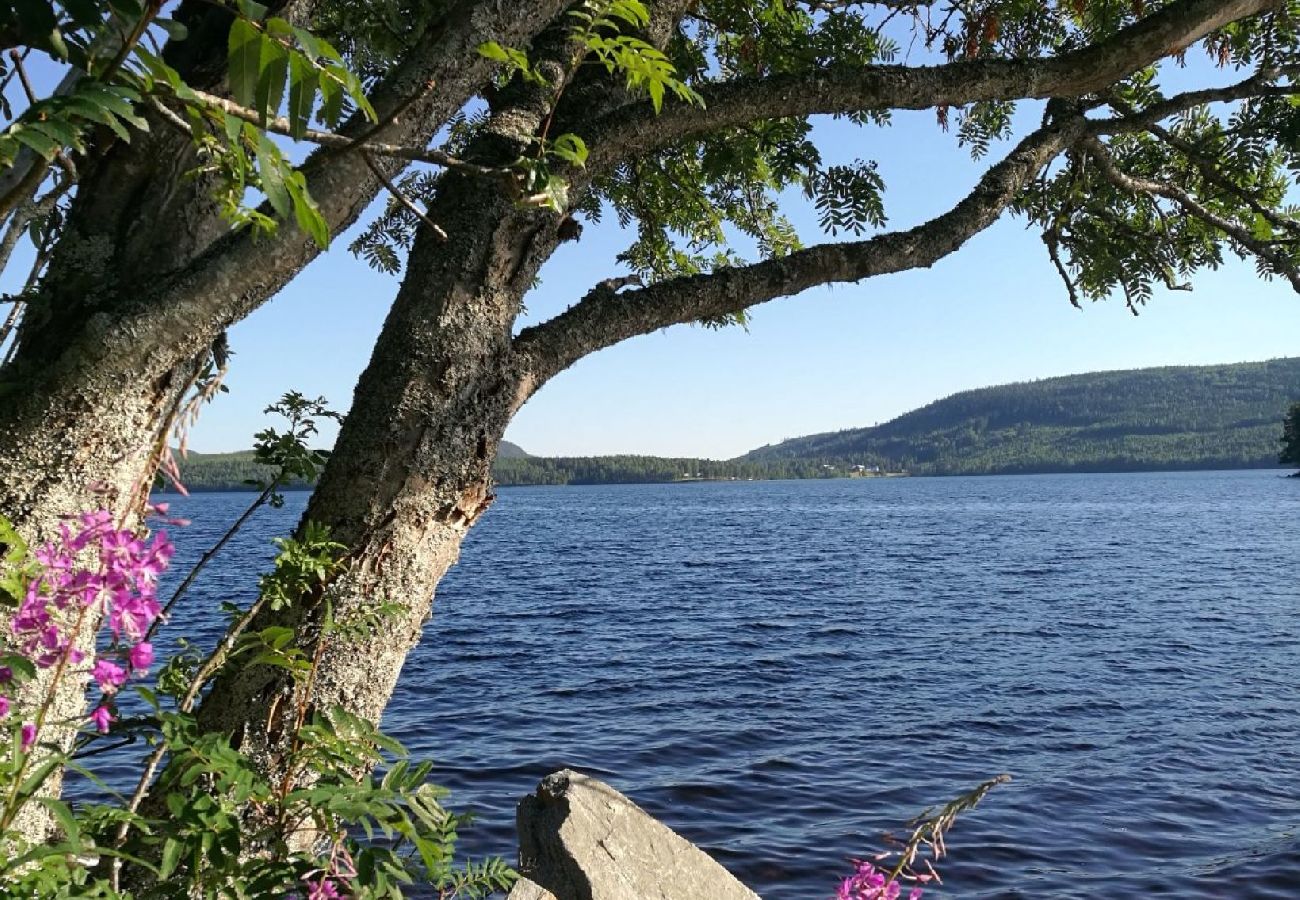 Ferienhaus in Trehörningsjö - Natururlaub direkt am See im Ångermanland