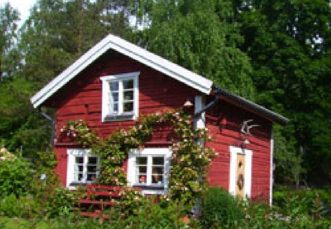 Ferienhaus in Aspabruk - Ferienhaus mitten im Wald von Trived zwischen zwei Seen