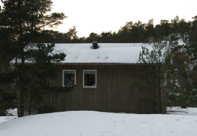 Ferienhaus in Tyresö - Schönes Ferienhaus in den Stockholmer Schären mit schnellem Internet  Ferienhaus in Tyresö - Schönes Ferienhaus in den Stockholmer Schären mit schnellem Internet