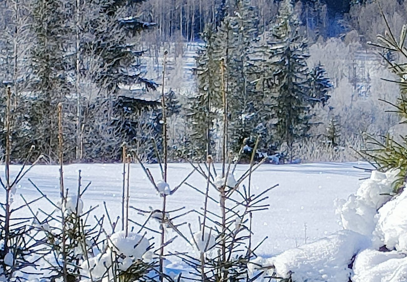 Ferienhaus in Sysslebäck - Schönes Ferienhaus zum Winter- oder Sommerurlaub in Mittelschweden