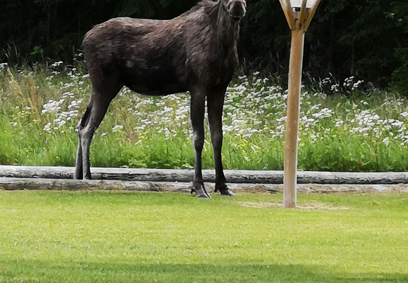 Ferienhaus in Sysslebäck - Schönes Ferienhaus zum Winter- oder Sommerurlaub in Mittelschweden