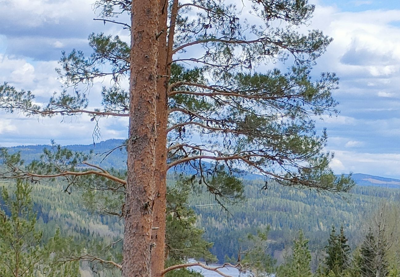 Ferienhaus in Sysslebäck - Schönes Ferienhaus zum Winter- oder Sommerurlaub in Mittelschweden