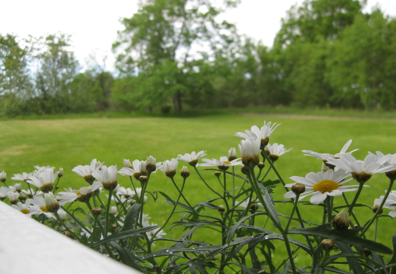 Ferienhaus in Bodafors - Natur pur - Urlaub am Fluss Emån und mit Hirschen als Nachbarn