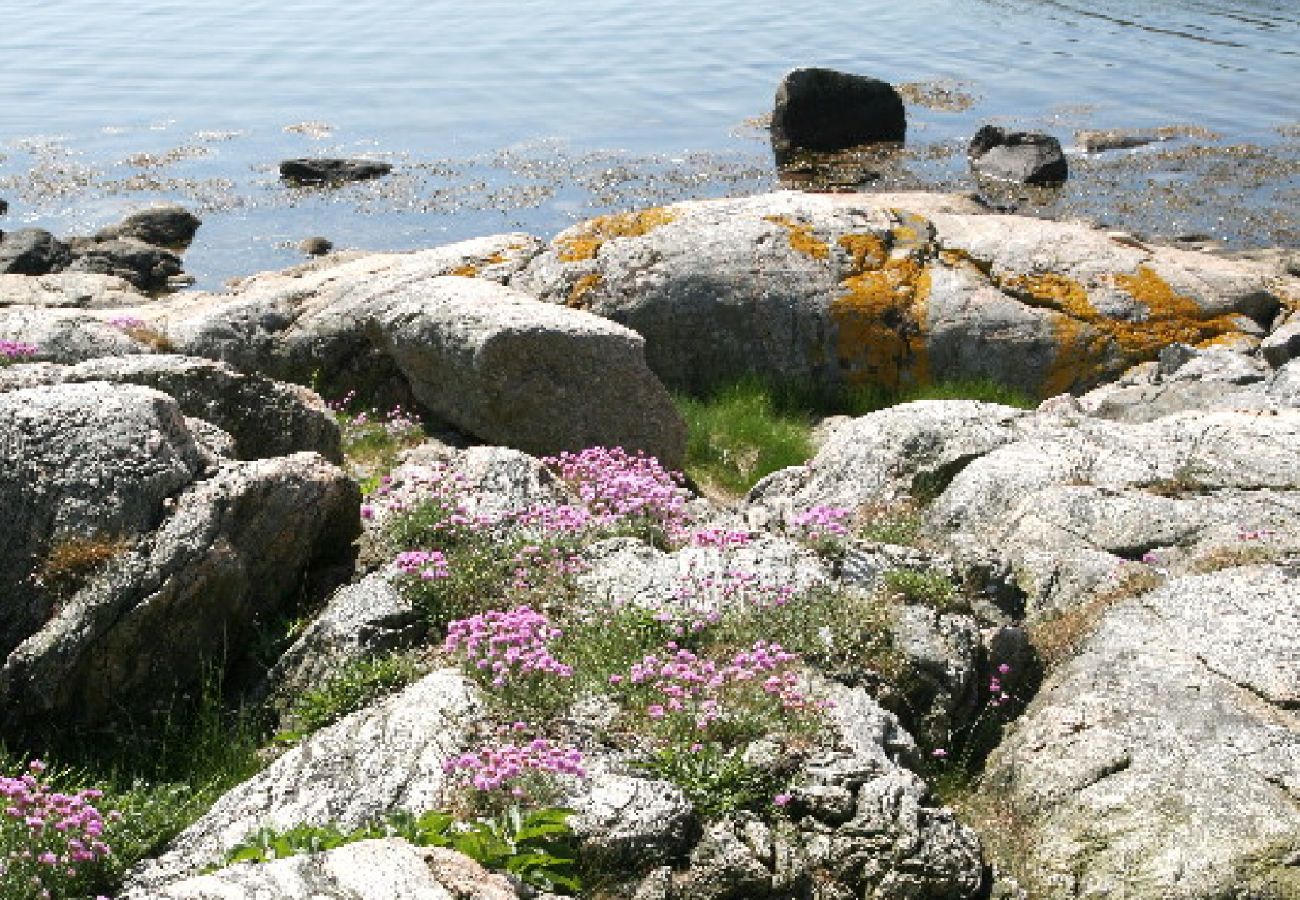 Ferienwohnung in Vrångö - Villa Solviken