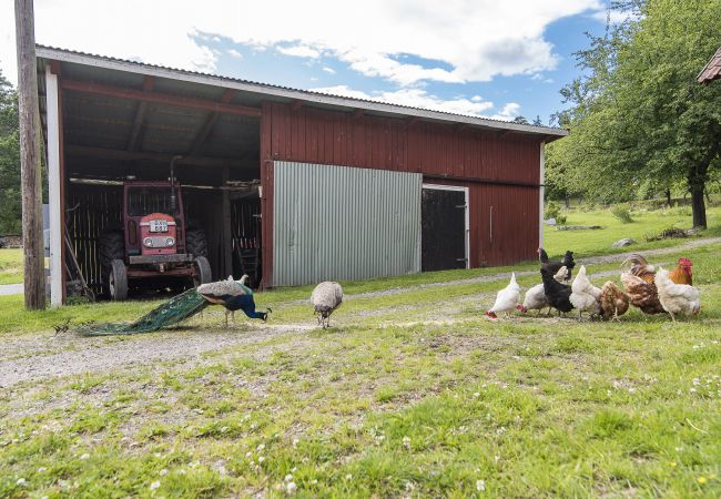 Ferienhaus in Valdemarsvik - Urlaub auf dem Bauernhof 10 Minuten von der Ostseeküste