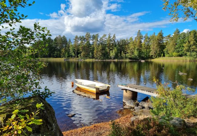 Ferienhaus in Hallaryd - Rot-weisses Ferienhaus in Seenähe mit kostenlosem WLAN