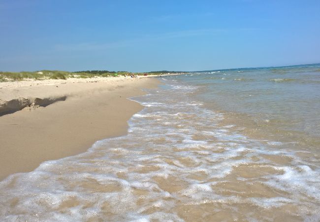 Ferienwohnung in Borrby - Ferienwohnung unweit der Sanddünen der Ostsee in Österlen