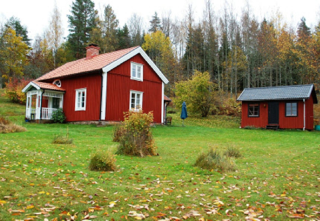 Ferienhaus in Ydre - Rot-weisses Ferienhaus am Wald und unweit vom See und Bademöglichkeiten