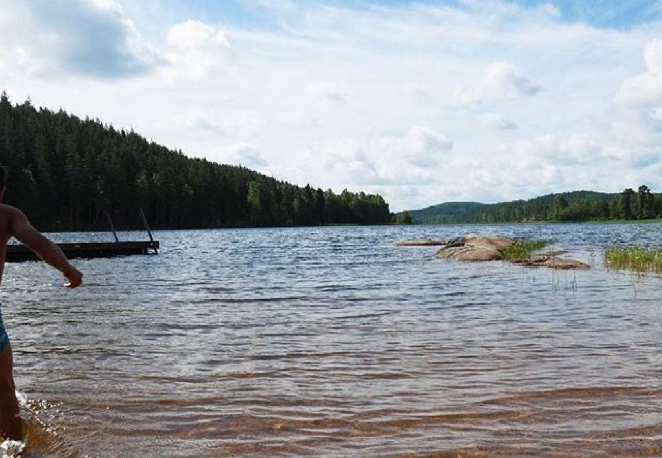 Ferienhaus in Ydre - Rot-weisses Ferienhaus am Wald und unweit vom See und Bademöglichkeiten