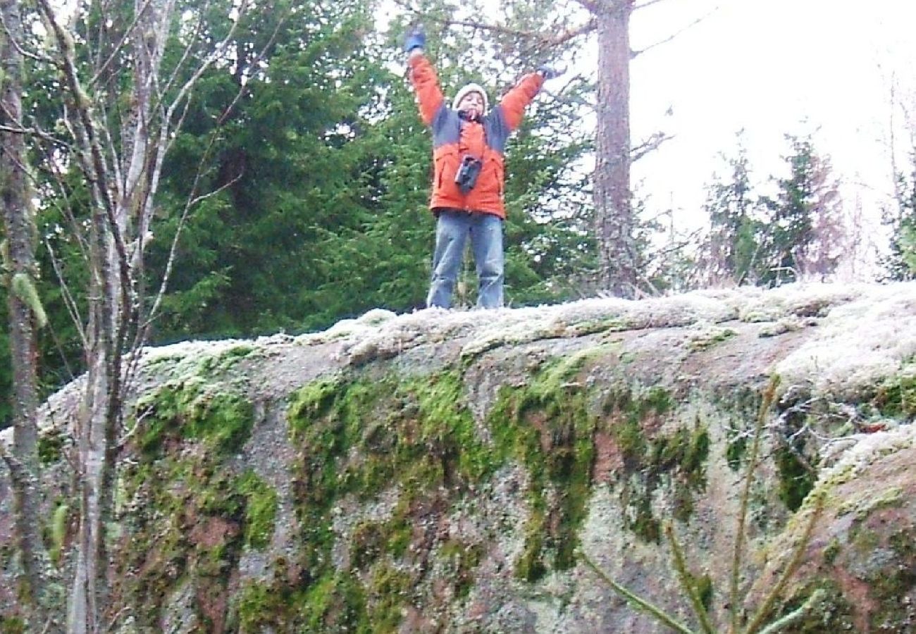 Ferienhaus in Ydre - Rot-weisses Ferienhaus am Wald und unweit vom See und Bademöglichkeiten