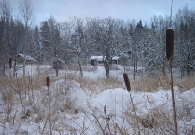 Ferienhaus in Säffle - Eine Naturperle mit Boot und Sauna am Vänernsee