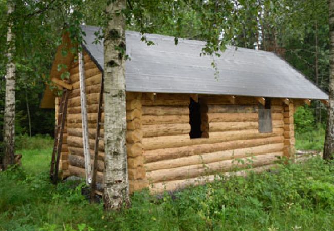 Ferienhaus in Säffle - Eine Naturperle mit Boot und Sauna am Vänernsee